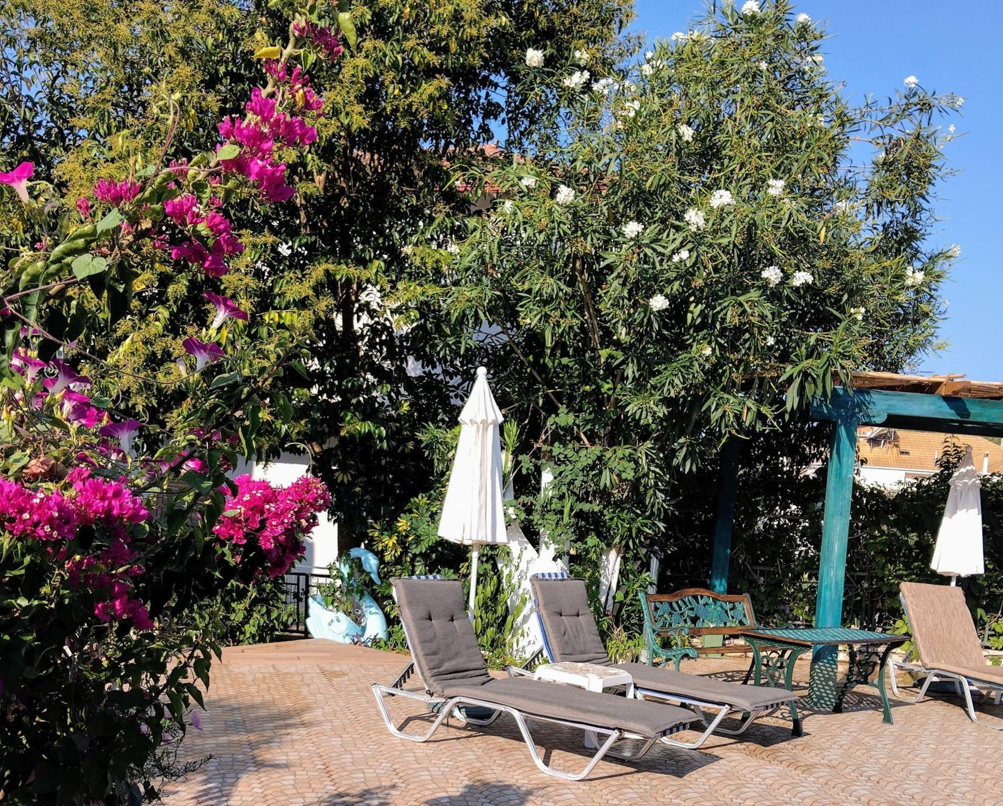 Harmony Resort Parga Dış mekan fotoğraf