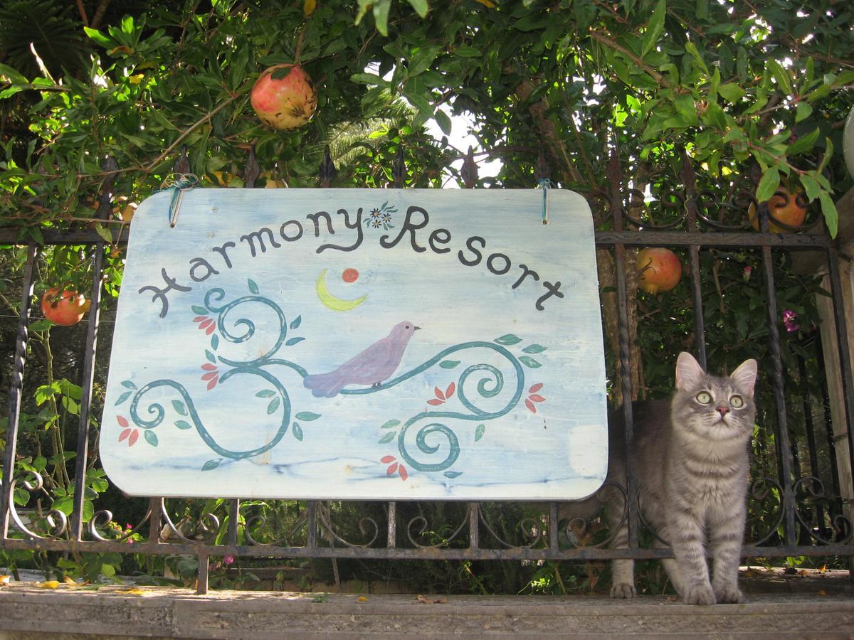 Harmony Resort Parga Dış mekan fotoğraf